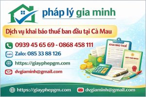 kế toán chuyên nghiệp cho công ty nhỏ tại cà mau