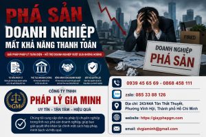 Phá Sản Doanh Nghiệp Mất Khả Năng Thanh Toán