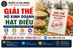 Giải thể hộ kinh doanh hạt điều
