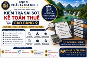 Kiểm tra sai sót kế toán thuế tại Cao Bằng