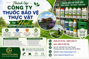 Thành lập công ty thuốc bảo vệ thực vật tại Huế